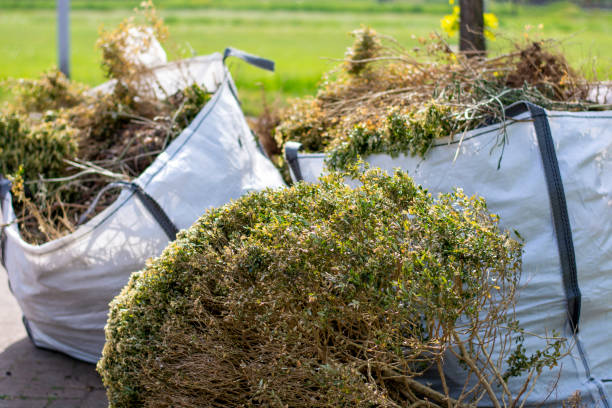 Best Junk Hauling Services  in Blakely, GA